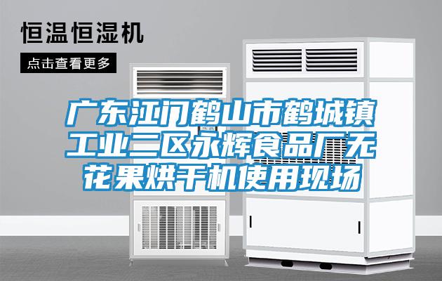 廣東江門(mén)鶴山市鶴城鎮工業(yè)二區永輝食品廠(chǎng)無(wú)花果烘干機使用現場(chǎng)