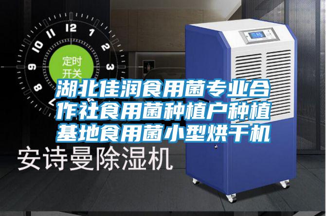 湖北佳潤食用菌專(zhuān)業(yè)合作社食用菌種植戶(hù)種植基地食用菌小型烘干機