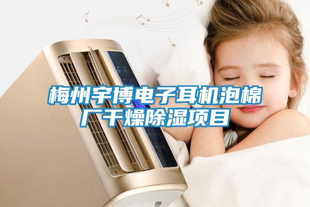 梅州宇博電子耳機泡棉廠(chǎng)干燥除濕項目