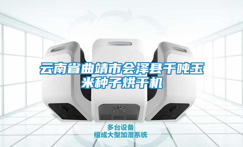 云南省曲靖市會(huì )澤縣千噸玉米種子烘干機