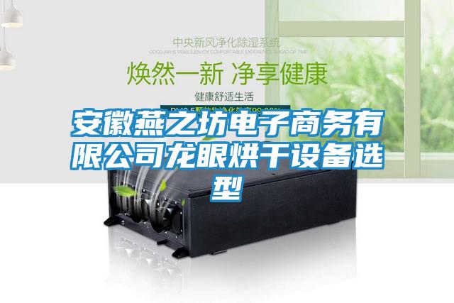安徽燕之坊電子商務(wù)有限公司龍眼烘干設備選型