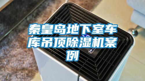 秦皇島地下室車(chē)庫吊頂除濕機案例