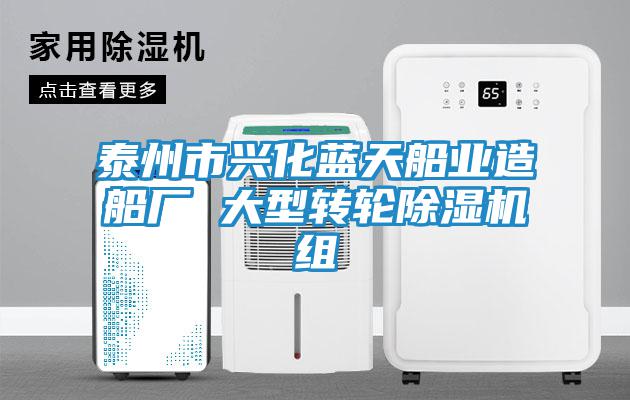 泰州市興化藍天船業(yè)造船廠(chǎng) 大型轉輪除濕機組