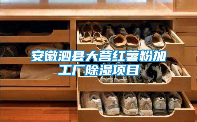 安徽泗縣大營(yíng)紅薯粉加工廠(chǎng)除濕項目