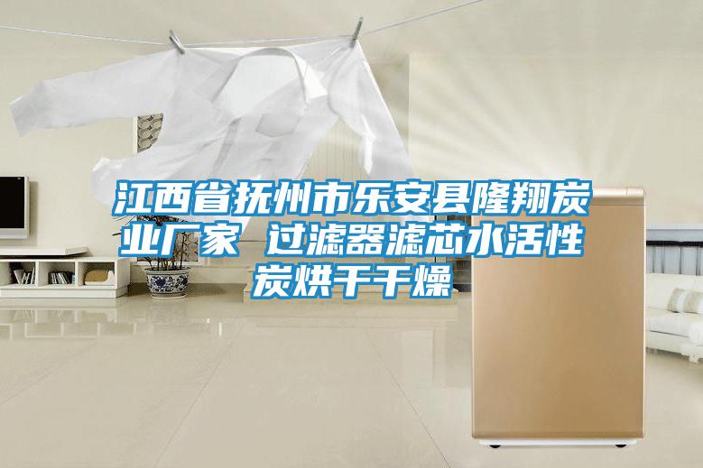 江西省撫州市樂(lè )安縣隆翔炭業(yè)廠(chǎng)家 過(guò)濾器濾芯水活性炭烘干干燥