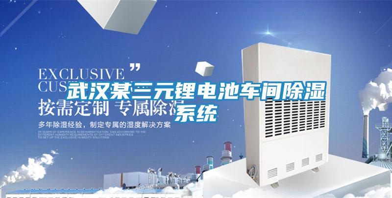 武漢某三元鋰電池車(chē)間除濕系統