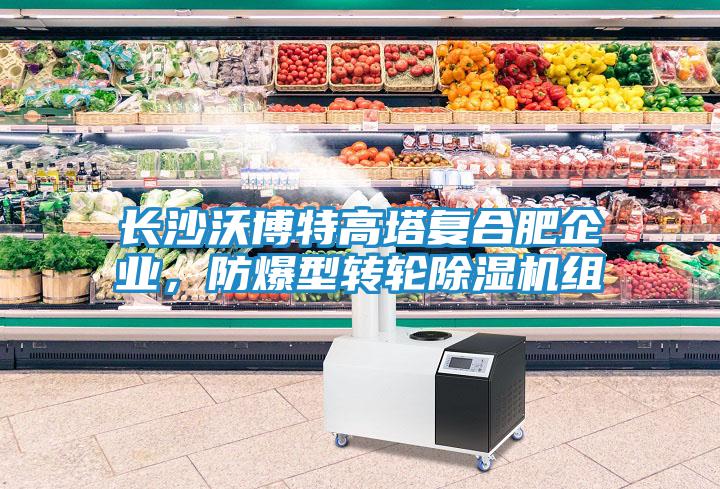 長(cháng)沙沃博特高塔復合肥企業(yè)，防爆型轉輪除濕機組