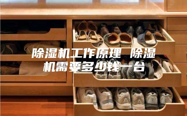 除濕機工作原理 除濕機需要多少錢(qián)一臺