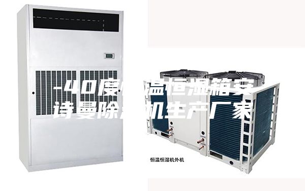 -40度恒溫恒濕箱安詩(shī)曼除濕機生產(chǎn)廠(chǎng)家