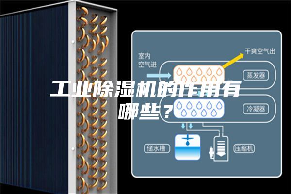 工業(yè)除濕機的作用有哪些？