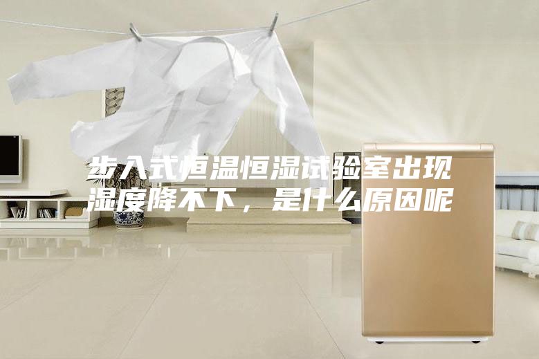 步入式恒溫恒濕試驗室出現濕度降不下，是什么原因呢