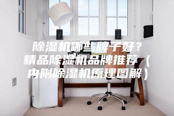 除濕機哪些牌子好？精品除濕機品牌推薦（內附除濕機原理圖解）