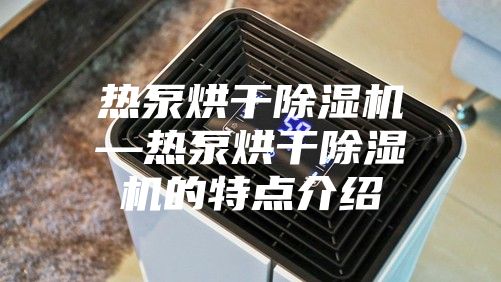 熱泵烘干除濕機—熱泵烘干除濕機的特點(diǎn)介紹