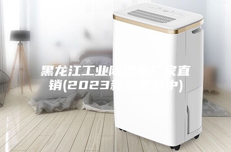 黑龍江工業(yè)除濕機廠(chǎng)家直銷(xiāo)(2023新聞更新中)