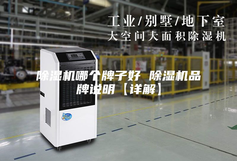 除濕機哪個(gè)牌子好 除濕機品牌說(shuō)明【詳解】