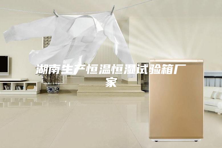 湖南生產(chǎn)恒溫恒濕試驗箱廠(chǎng)家