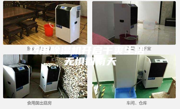 巧用除濕機開(kāi)啟干爽生活 無(wú)懼回南天