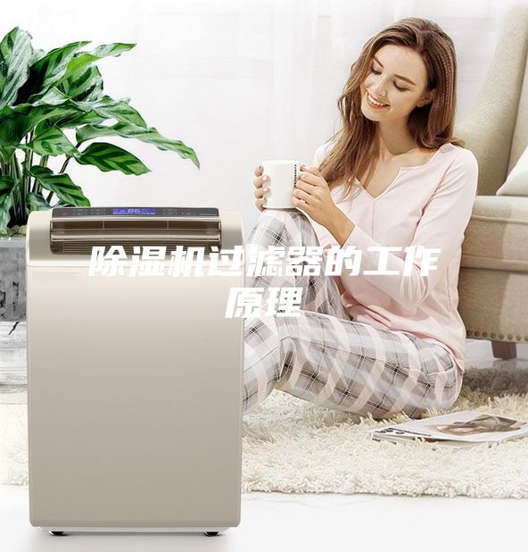 除濕機過(guò)濾器的工作原理