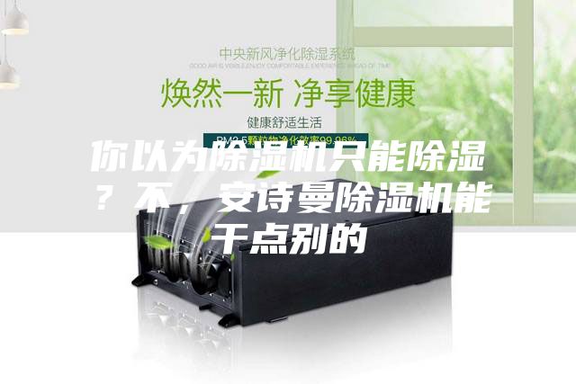 你以為除濕機只能除濕？不，安詩(shī)曼除濕機能干點(diǎn)別的