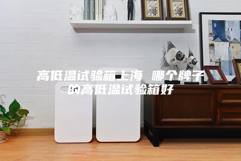 高低溫試驗箱上海 哪個(gè)牌子的高低溫試驗箱好