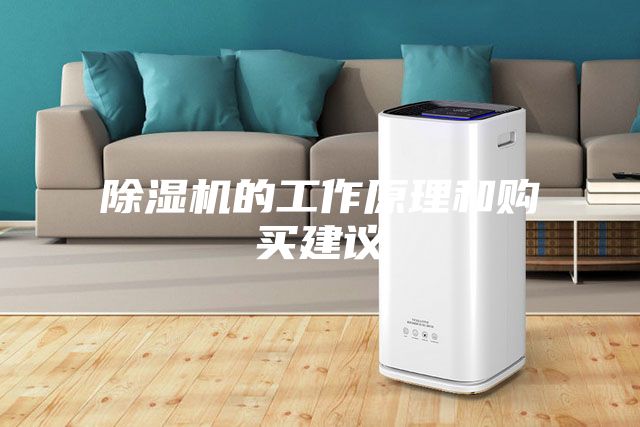 除濕機的工作原理和購買(mǎi)建議