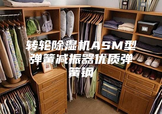 轉輪除濕機ASM型彈簧減振器優(yōu)質(zhì)彈簧鋼
