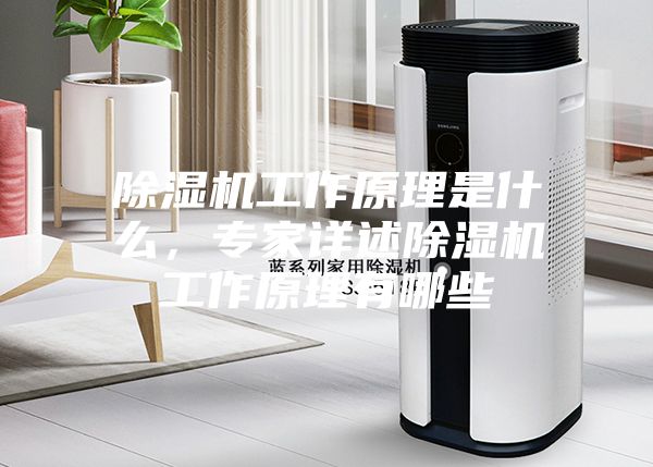 除濕機工作原理是什么，專(zhuān)家詳述除濕機工作原理有哪些