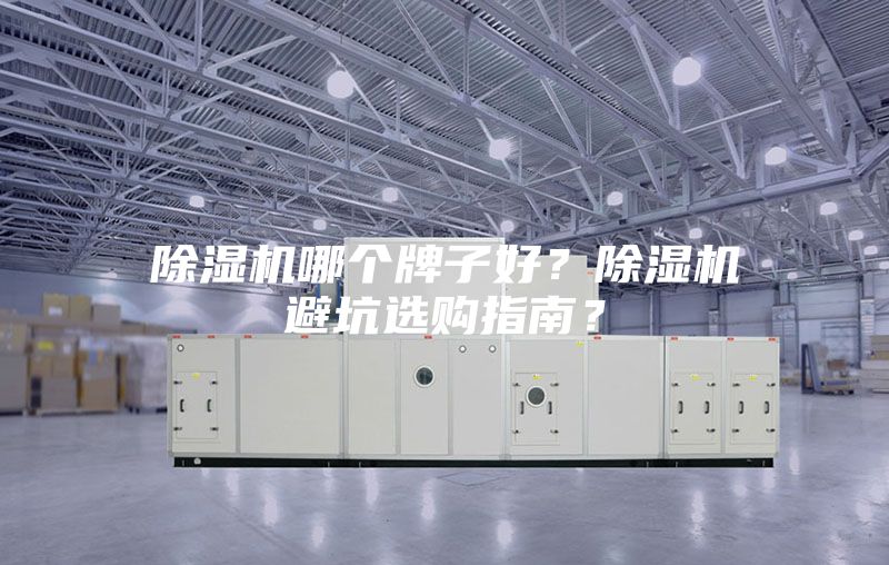 除濕機哪個(gè)牌子好？除濕機避坑選購指南？