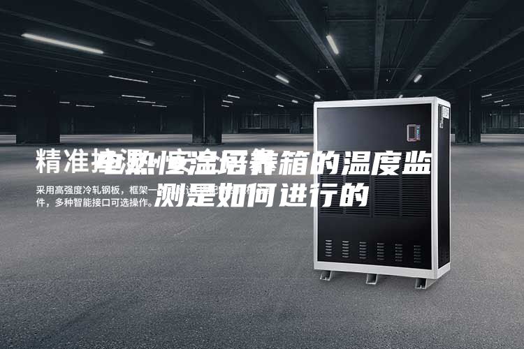 電熱恒溫培養箱的溫度監測是如何進(jìn)行的