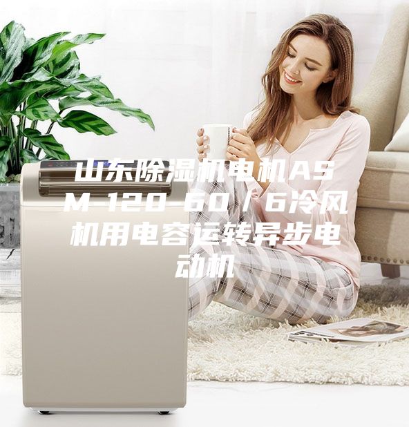 山東除濕機電機ASM-120-60／6冷風(fēng)機用電容運轉異步電動(dòng)機