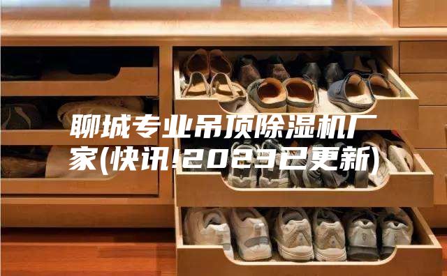 聊城專(zhuān)業(yè)吊頂除濕機廠(chǎng)家(快訊!2023已更新)