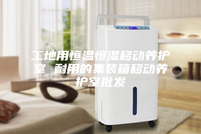 工地用恒溫恒濕移動(dòng)養護室 耐用的集裝箱移動(dòng)養護室批發(fā)