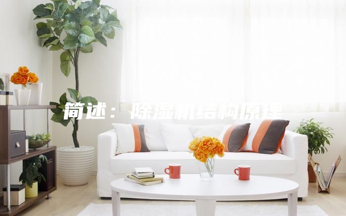 簡(jiǎn)述：除濕機結構原理