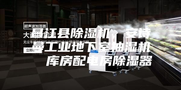 昌江縣除濕機，安詩(shī)曼工業(yè)地下室抽濕機  庫房配電房除濕器