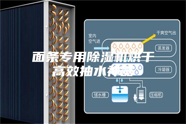 面條專(zhuān)用除濕機烘干高效抽水神器