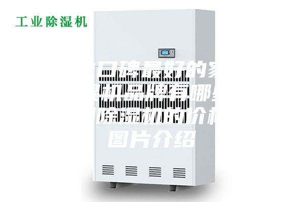 目前口碑最好的家用除濕機品牌有哪些？家用除濕機的價(jià)格和圖片介紹