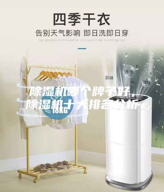 除濕機哪個(gè)牌子好，除濕機十大排名分析