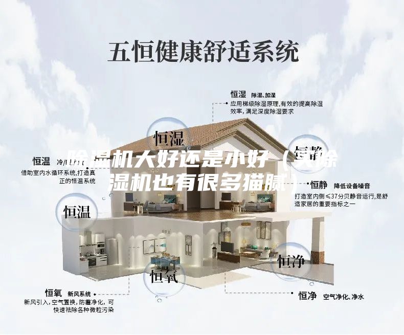 除濕機大好還是小好（買(mǎi)除濕機也有很多貓膩）