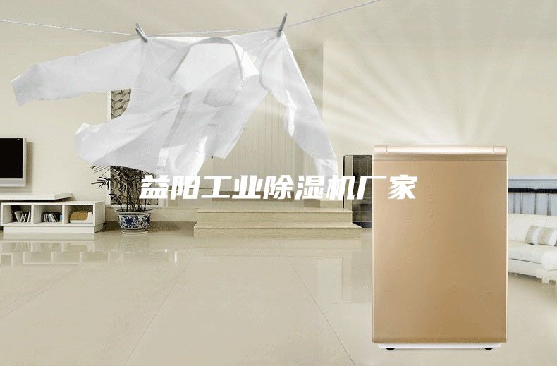益陽(yáng)工業(yè)除濕機廠(chǎng)家