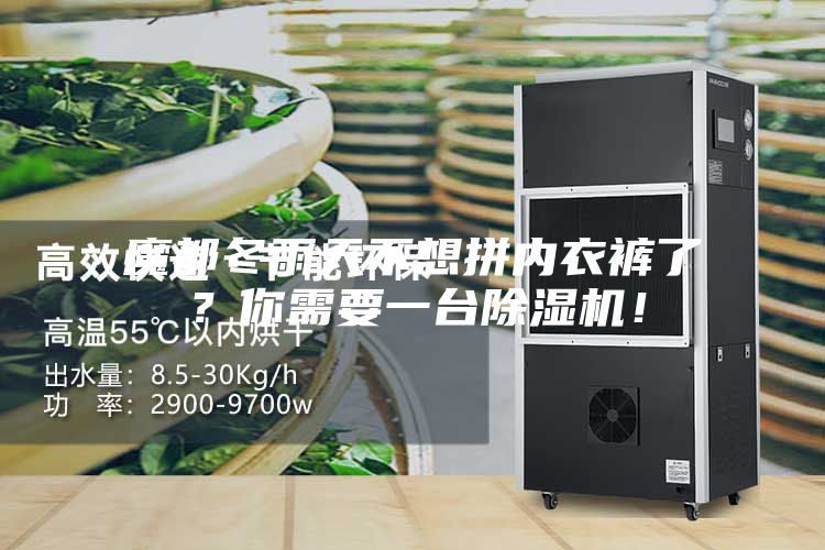 魔都冬雨天不想拼內衣褲了？你需要一臺除濕機！