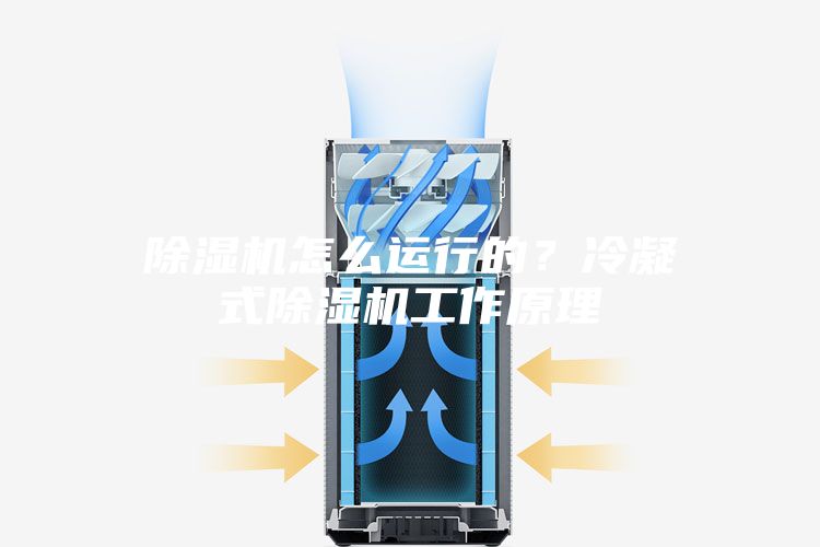 除濕機怎么運行的？冷凝式除濕機工作原理