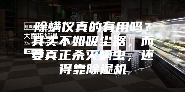 除螨儀真的有用嗎？其實(shí)不如吸塵器，而要真正殺滅螨蟲(chóng)，還得靠除濕機