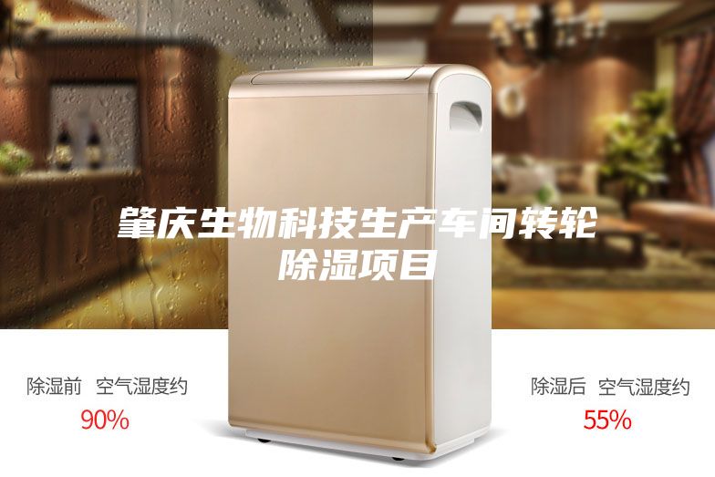 肇慶生物科技生產(chǎn)車(chē)間轉輪除濕項目