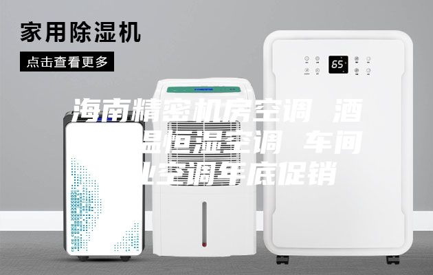 海南精密機房空調 酒窖恒溫恒濕空調 車(chē)間工業(yè)空調年底促銷(xiāo)