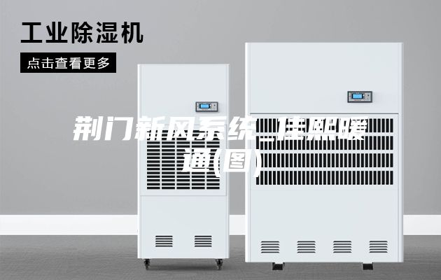荊門(mén)新風(fēng)系統_佳熙暖通(圖)