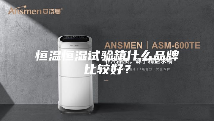 恒溫恒濕試驗箱什么品牌比較好？