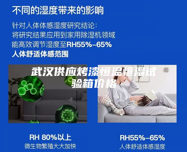 武漢供應烤漆恒溫恒濕試驗箱價(jià)格