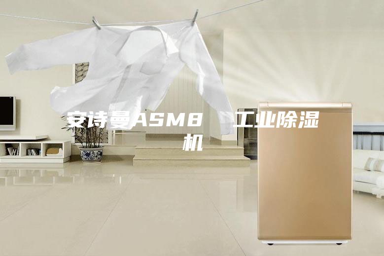 安詩(shī)曼ASM8  工業(yè)除濕機