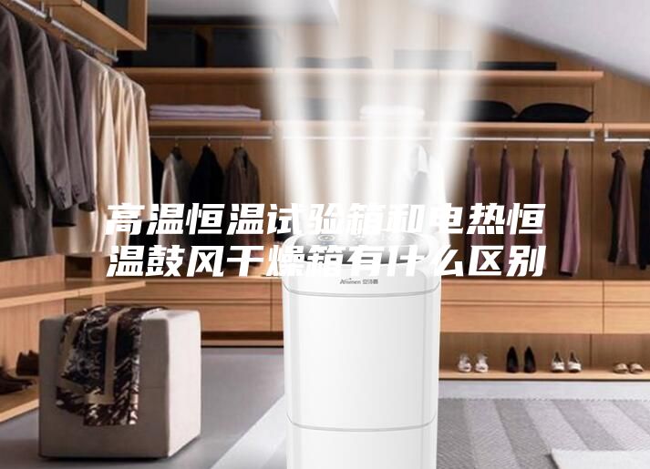 高溫恒溫試驗箱和電熱恒溫鼓風(fēng)干燥箱有什么區別