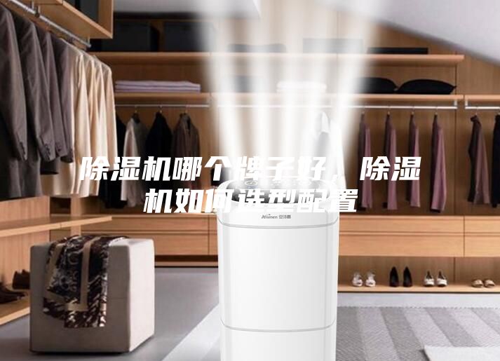 除濕機哪個(gè)牌子好，除濕機如何選型配置